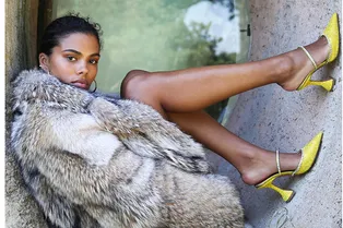 От Кендалл Дженнер до Рианны: почему все без ума от обуви Amina Muaddi