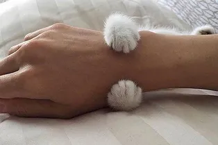 Рейтинг: топ-10 лучших кремов для рук