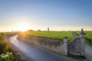 На аукцион Sotheby's выставят столетние вина Chanel