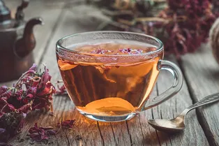 Почему для крепкого иммунитета нужно пить эхинацею