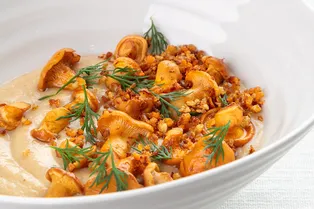 Сезон лисичек: почему стоит добавить эти грибы в рацион