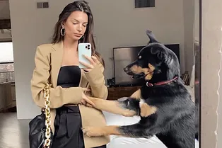 14 самых стильных совместных выходов Эмили Ратаковски и овчарки Коломбо