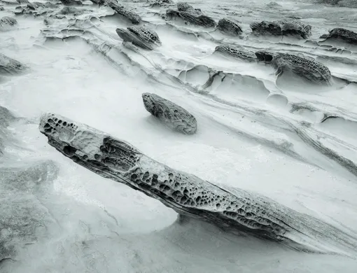 Джек Дайкинга, Парк Шор-Эйкерс, Орегон, май 2013.