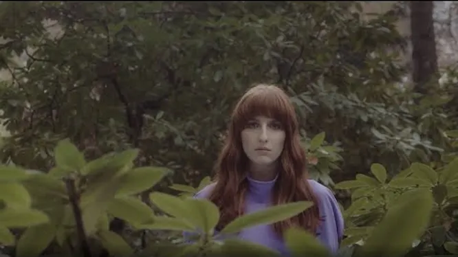 Нажмите и смотрите Нажмите и смотрите