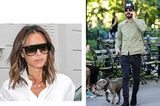 4 знаменитости, которые обожают папарацци