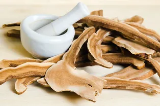 Грибы рейши — антиэйдж по аюрведе