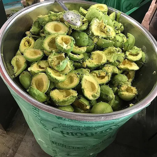 @plantbasedonabudget @plantbasedonabudget