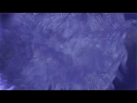 Нажмите и смотрите Нажмите и смотрите
