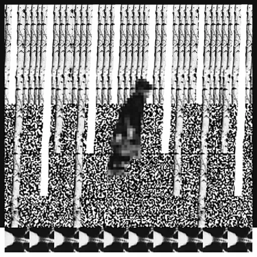 Катерина Серьезная, «Запад» (2020)