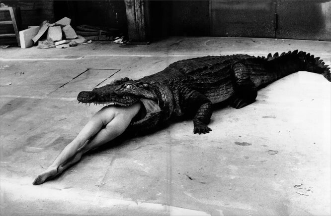 Хельмут Ньютон – «Crocodile Eating Ballerina», из балета «Keushleitslegende» театра танца Пины Бауш в Вуппертале, 1983 год Хельмут Ньютон – «Crocodile Eating Ballerina», из балета «Keushleitslegende» театра танца Пины Бауш в Вуппертале, 1983 год