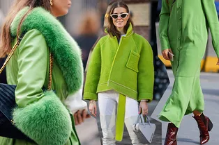 Как носить фисташковый: 10 наглядных примеров от знаменитостей и героинь стритстайла