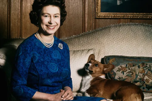 Мода королевского двора: лучшие выставки Мода королевского двора: лучшие выставки