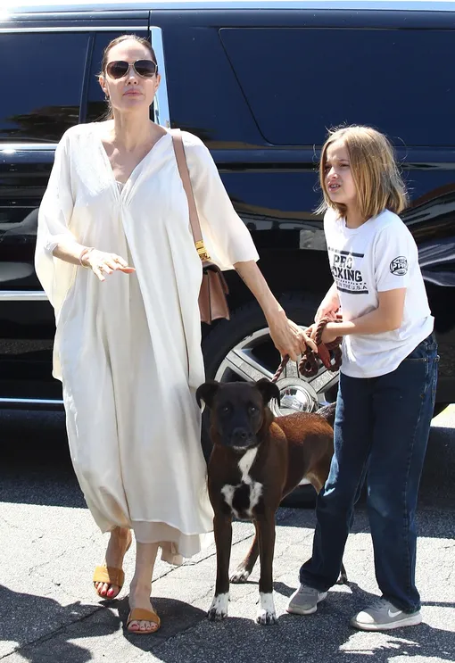 Анджелина Джоли Анджелина Джоли