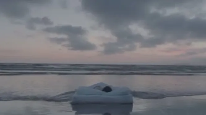 Нажмите и смотрите Нажмите и смотрите