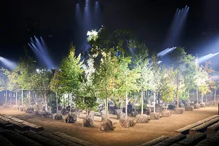 Видео дня: что нужно знать о коллаборации Dior и студии ландшафтного дизайна Atelier Coloco