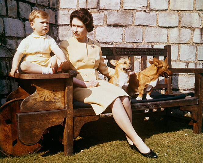 Елизавета II и принц Эндрю в саду Виндзорского дворца. 1962 