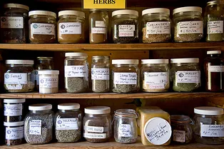 7 трав, которые помогут от повышенного давления