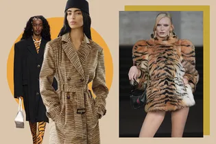 Прощай, леопард: в 2026 мы выбрали себе новое тотемное животное