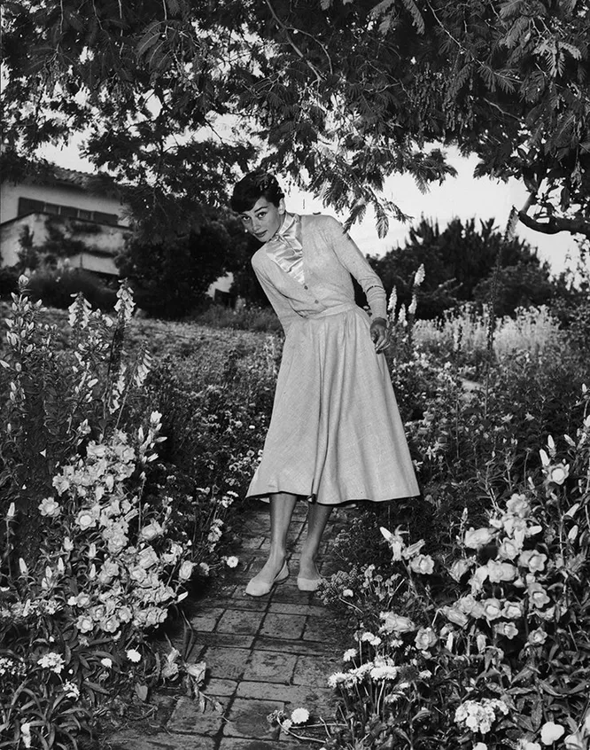 Одри Хепберн, 1960 год