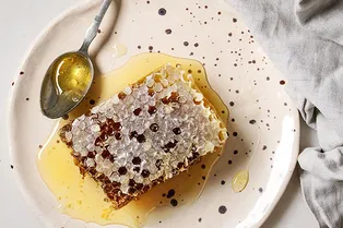 Для крепкого иммунитета и красивой кожи: почему нам всем нужен прополис