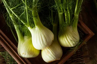 Чем полезен фенхель и как добавить его в свой рацион