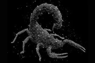 Гороскоп на 2019 год: Скорпион