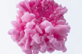 4 небанальных ингредиента, которые нужно искать в косметике