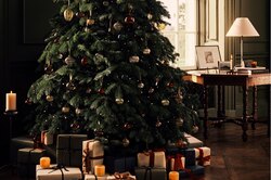 Как украсить елку: идеи для создания праздника в доме
