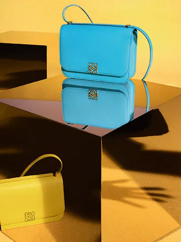 Loewe Goya Сумка Loewe Goya