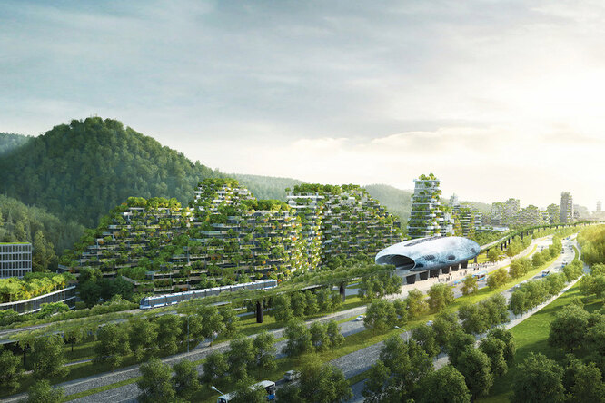 В Китае строят первый город-лес