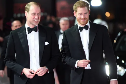 Огорчен и подавлен: принц Уильям впервые высказался о решении брата отойти от королевских дел