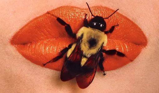 Irving Penn. Bee on lips.1995. Courtesy Частная коллекция Марианны Сардаровой