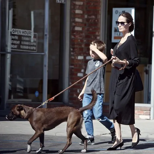 Анджелина Джоли с сыном Ноксом и любимым питомцем