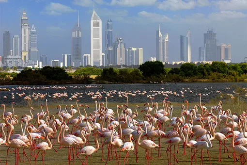 Романтический уикенд в Дубае
