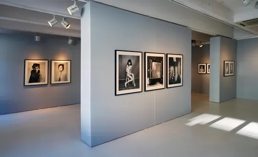 Выставка Паоло Роверси в Милане, 2017