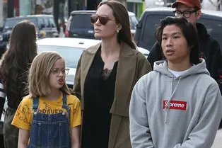 Плащ Dior и клатч Louis Vuitton: уроки элегантности от Анджелины Джоли