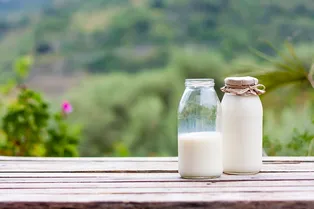 Что такое ферментированные продукты и зачем они нужны