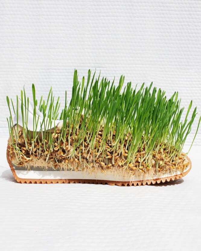 Кроссовки с микрозеленью из мужской коллекции Loewe весна-лето 2023