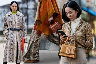 Один шаг до безвкусицы: как правильно носить принт под питона