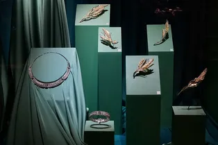 В ГИМ открылась выставка ювелирной коллекции из собрания Особой кладовой