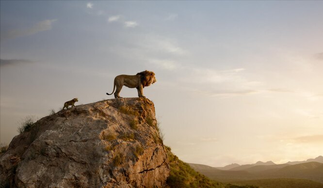 Кадр из «Короля Льва»