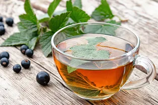 Почему стоит пить чай из листьев смородины