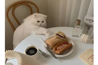 Зимой постоянно хочется есть: как контролировать голод