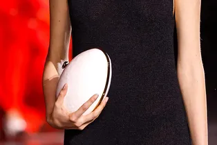 Клатч-минодьер — самая желанная сумка с парижских подиумов Клатч-минодьер — самая желанная сумка с парижских подиумов