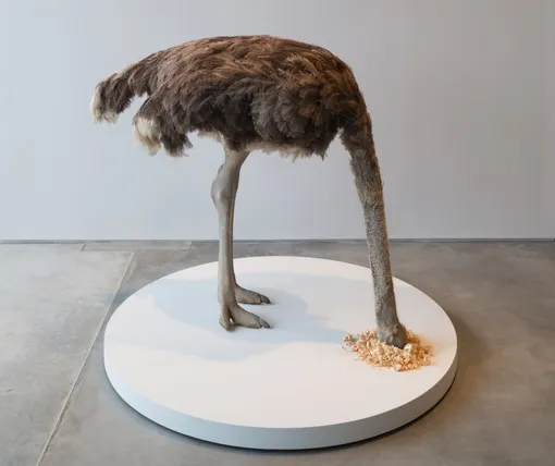 Маурицио Каттелан, «Страус», 1997 г. Маурицио Каттелан, «Страус», 1997 г.