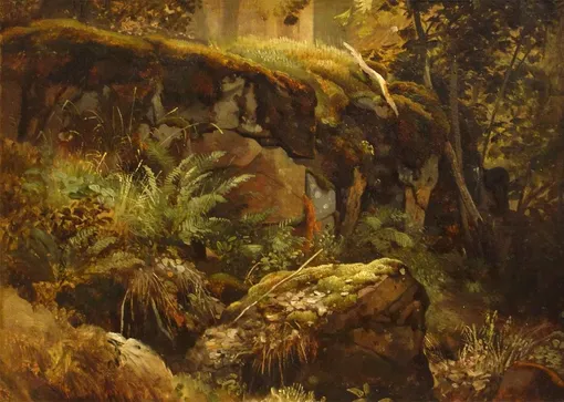 Шишкин Иван. «Камни в лесу. Валаам Этюд», 1858 год Шишкин Иван. «Камни в лесу. Валаам Этюд», 1858 год