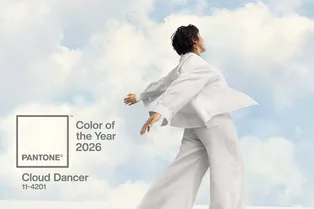 Институт цвета Pantone назвал главный цвет 2026 года Институт цвета Pantone назвал главный цвет 2026 года