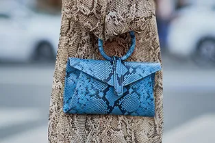 Как носить вещи со змеиным принтом: 5 примеров для подражания