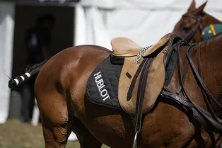 В Гштаде прошли соревнования Hublot Polo Gold Cup Gstaad — посмотрите на часы Big Bang Original Steel Ceramic, которые получили победители