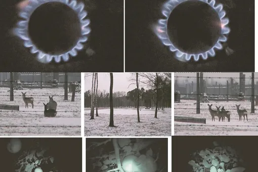 Выставка Мирослава Балки Выставка Мирослава Балки